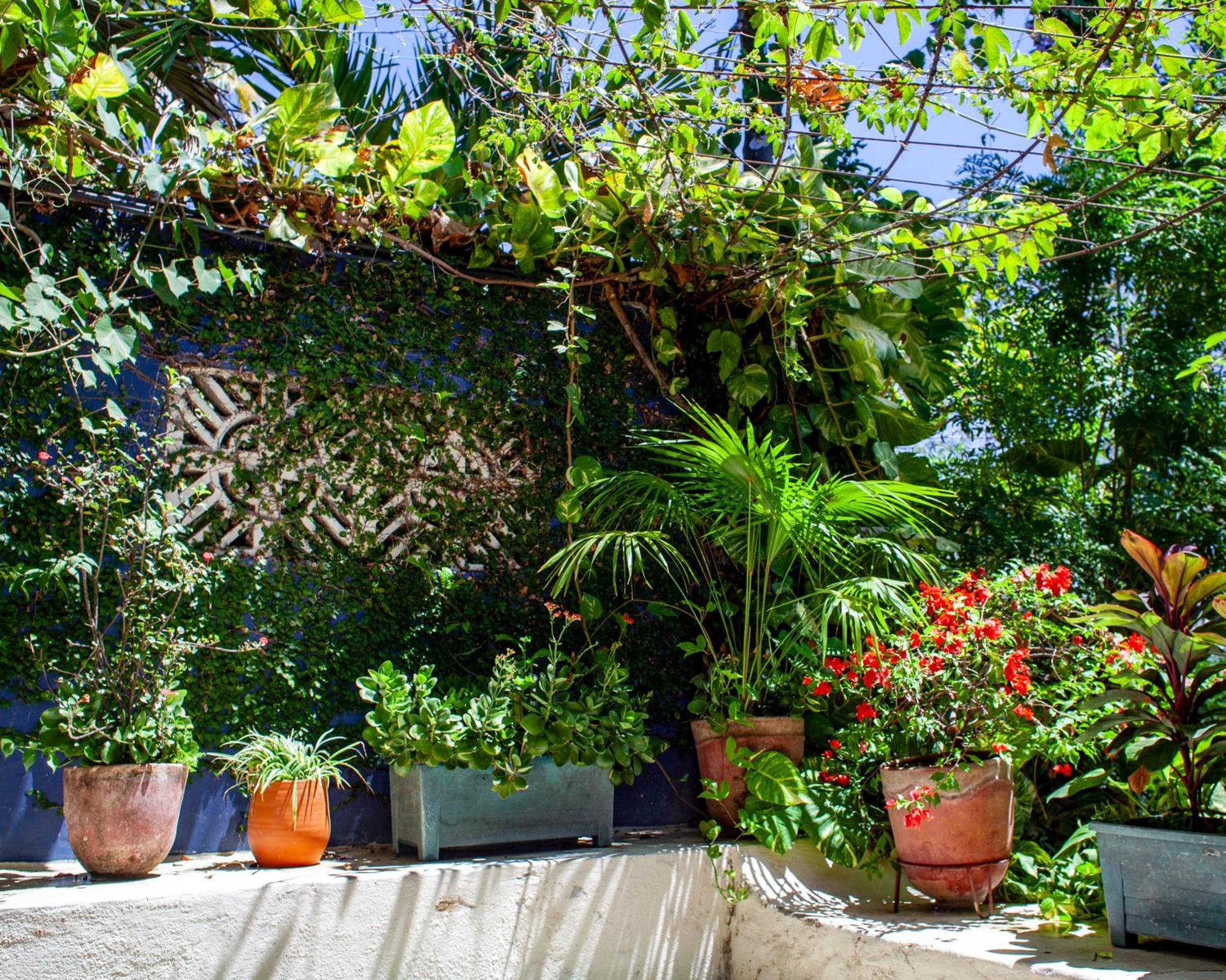 Bed and Breakfast Casa Marimba La Laguna Esterno foto